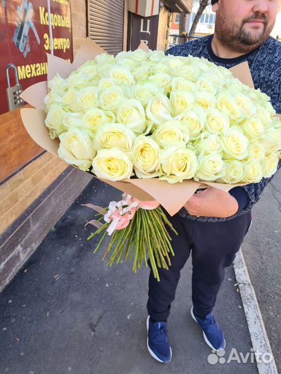 101 высокая белая роза импорт премиум