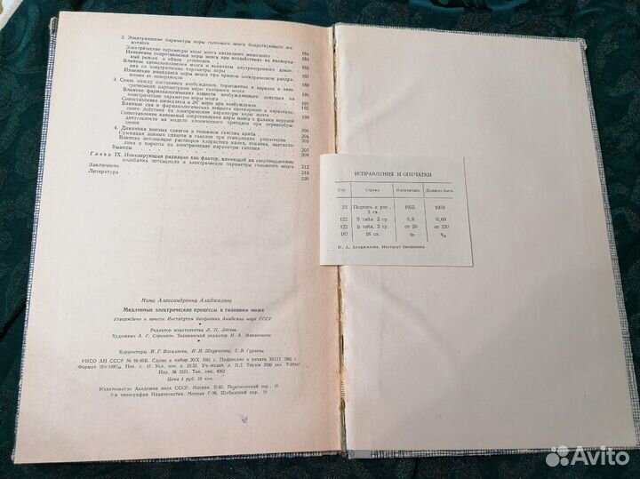 Медленные электрические процессы в головном мозге