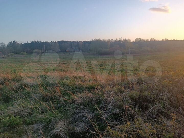 Участок 8 сот. (СНТ, ДНП)