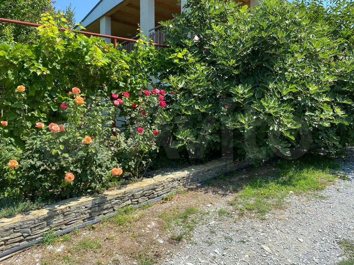 Комната 10 м², 1/2 эт.