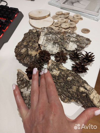 Кора дерева природный декор