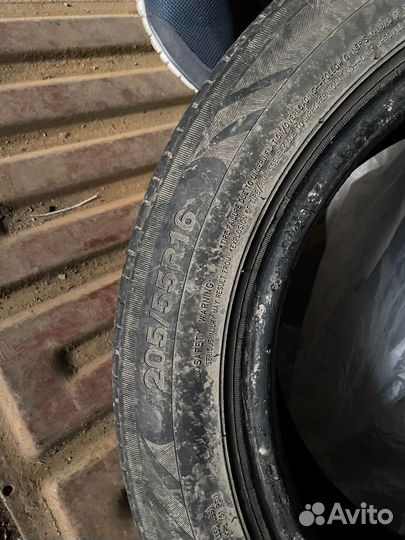 Triangle Sportex TSH11 205/55 R16