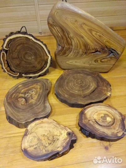 Спилы дерева