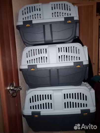 Переноска Скудо 1; 2; 3 ; Продажа ; Аренда