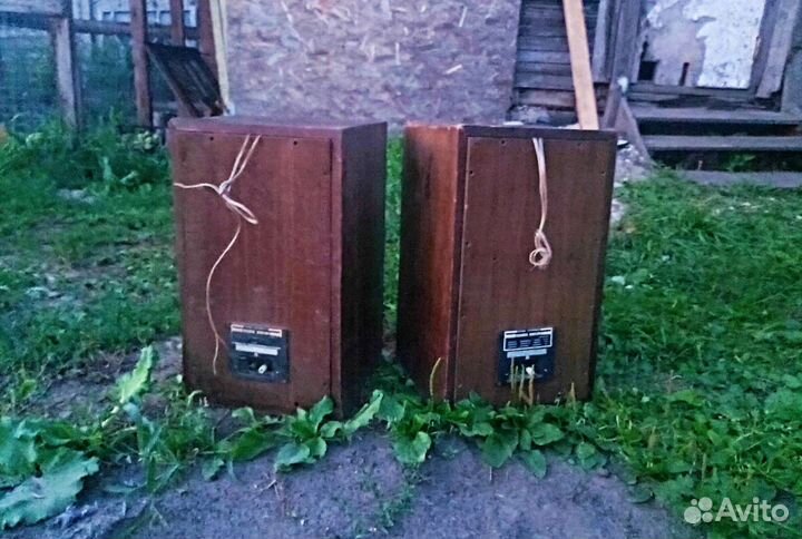 Акустическая система estonia 35ас-021 раритет