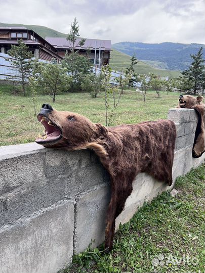 Шкура медведя имитация