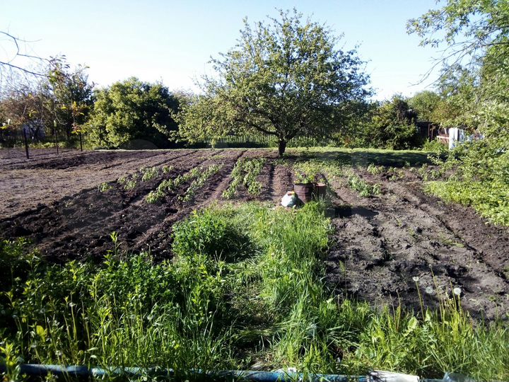 Дача 28,8 м² на участке 10 сот.