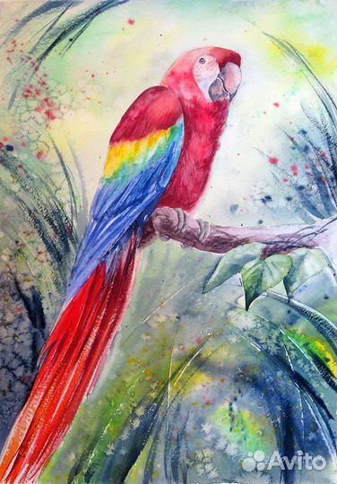 Картина акварель Попугай ара