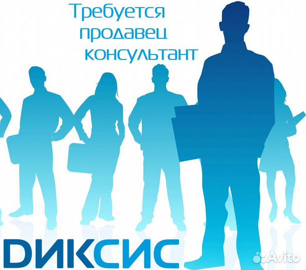 Продавец-консультант