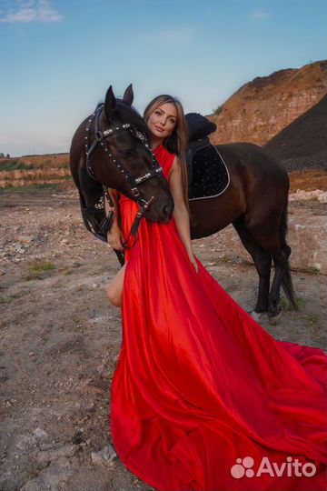 Фотосессия с лошадью, лошади на мероприятия