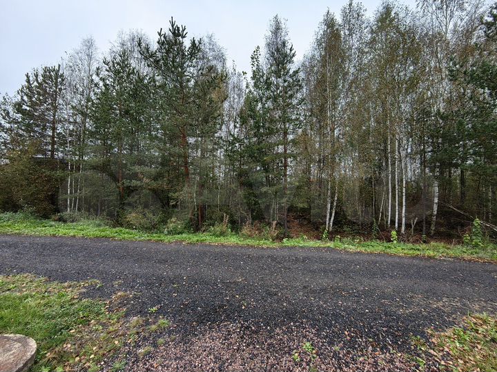 Участок 20 сот. (СНТ, ДНП)