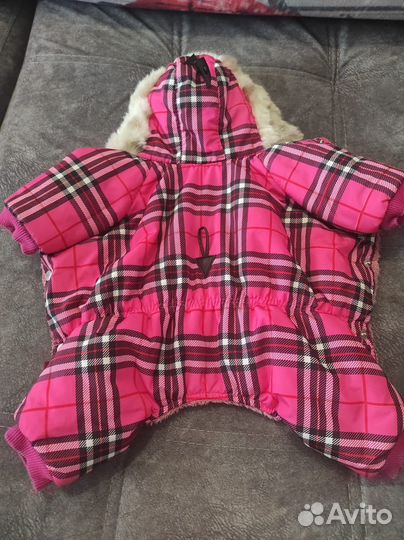 Комбинезон для собаки