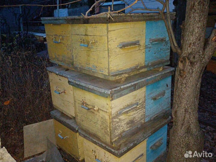 Улей для пчел