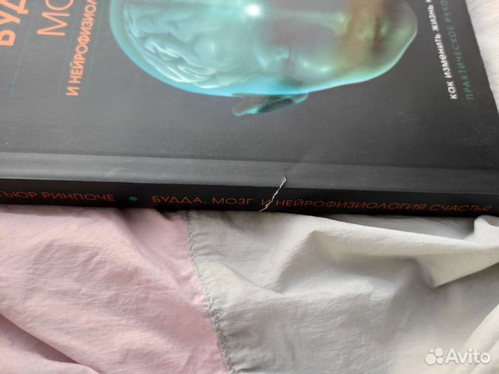 Будда, мозг и нейрофизиология счастья