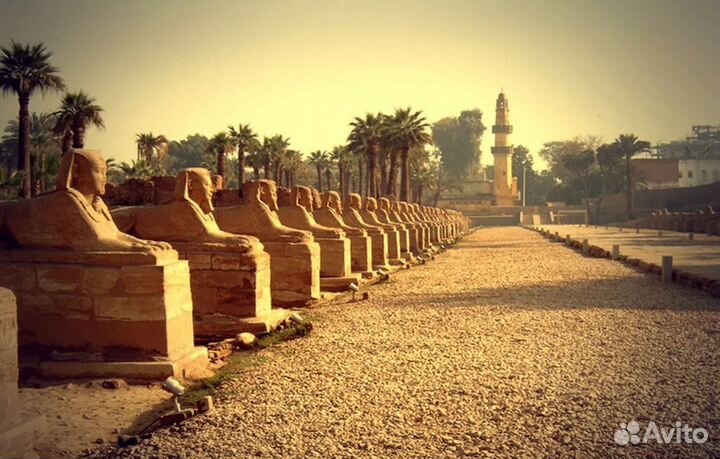 Relax тур в Egypt на 6 дн