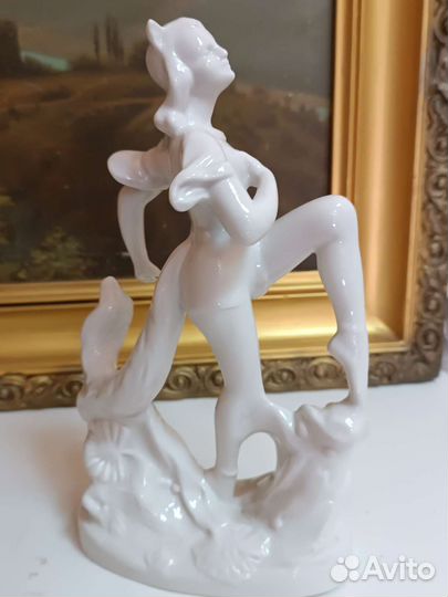 Балерина кошка, вербилки