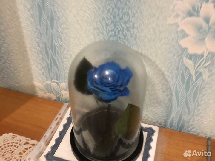 Вечная роза в колбе
