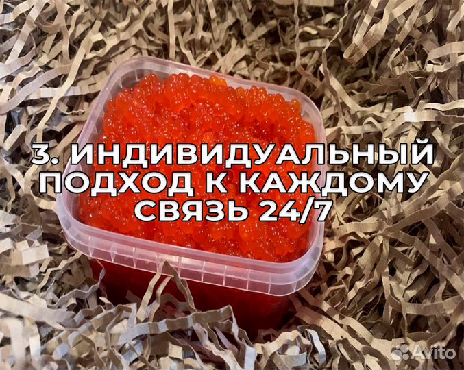 Бизнес на красной икре, без вложений