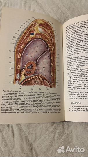 Книга Оперативная хирургия