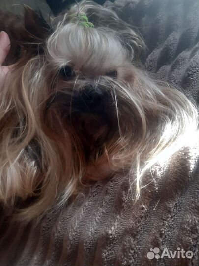 Мальчишка для девочек