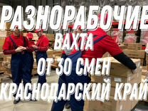 Разнорабочие / Вахта Краснодарский край