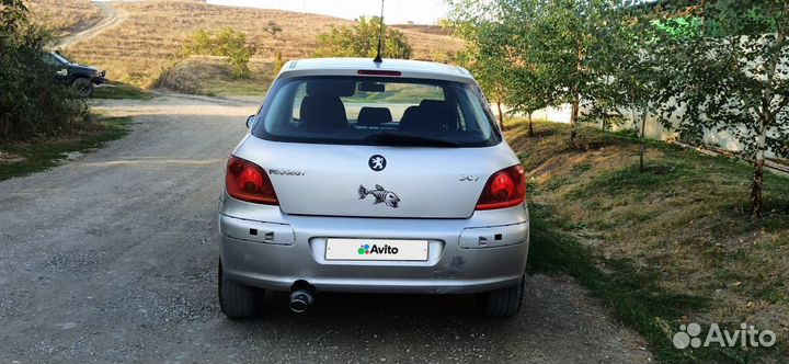 Peugeot 307 2.0 МТ, 2002, 222 222 км