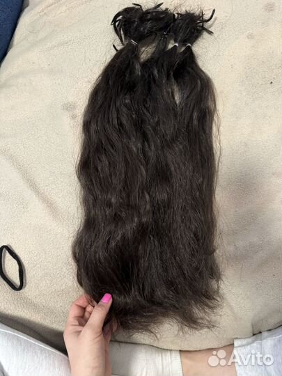 Хвост пористый кучерявый