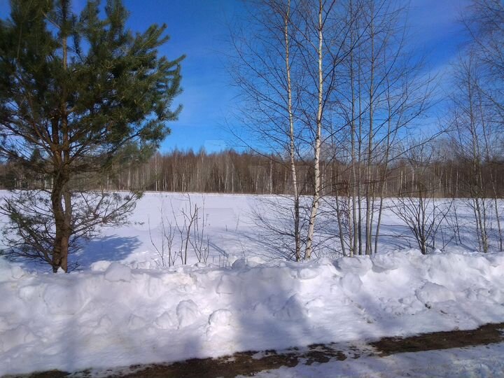 Участок 31,3 га (СНТ, ДНП)