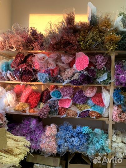 Сухоцветы и стабилизированные цветы