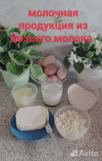 Козья сметана, сливки,молоко козье,сыр