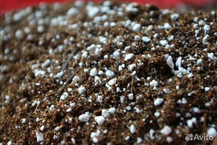 Агроперлит