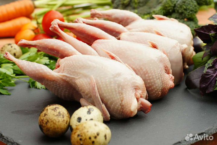 Мясо перепелки