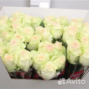 Роза Sweet Jumilia Премиум 50 см