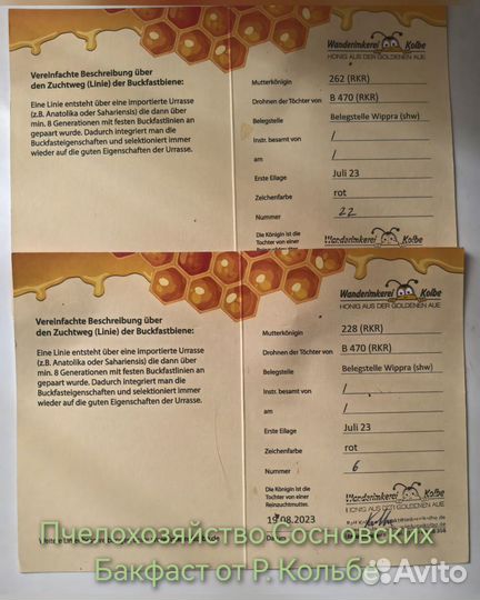 Пчелопакеты Карника, Бакфаст 2025