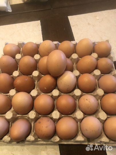 Домашие яйца