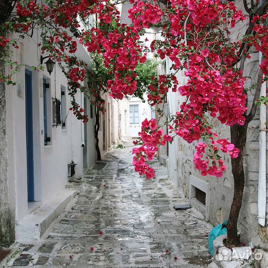 Дизайнерские фотообои 