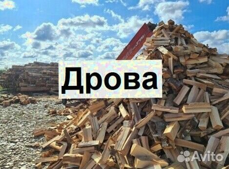 Дрова берёза