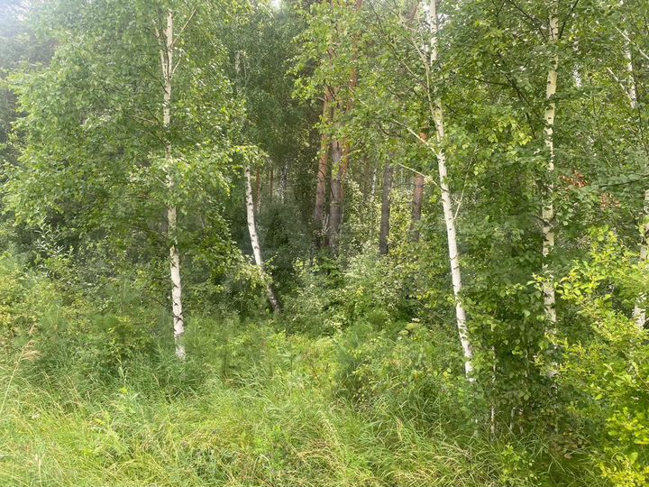 Участок 12 сот. (СНТ, ДНП)