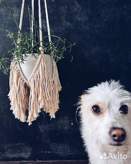 Кашпо подвесное для растения