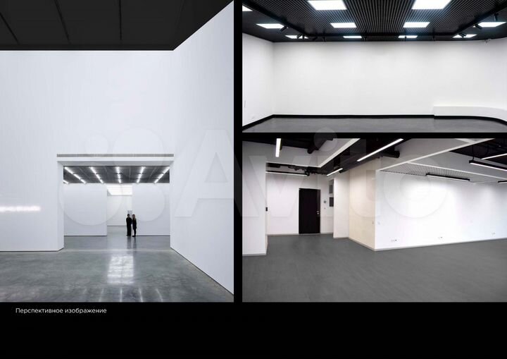 Торговая площадь, 292.48 м²
