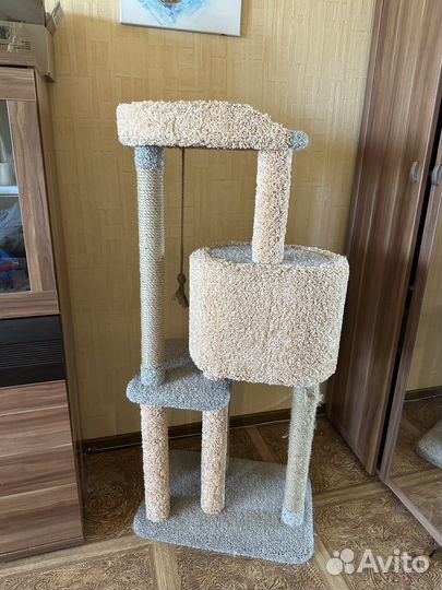 Когтеточка