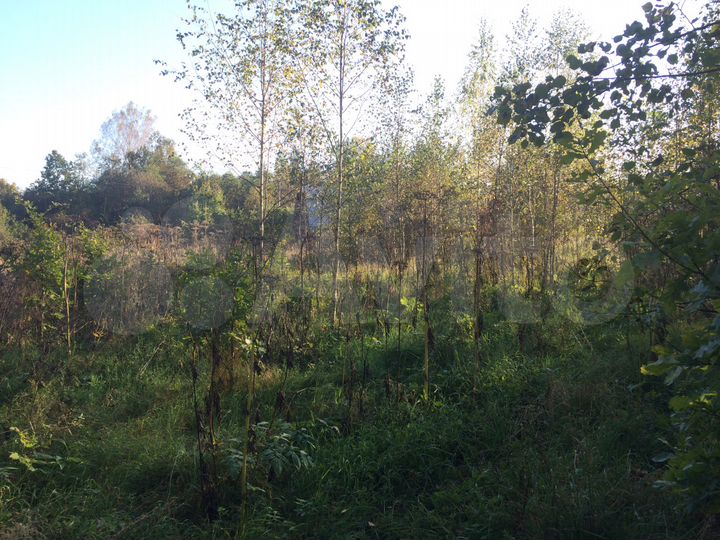 Участок 24 сот. (СНТ, ДНП)