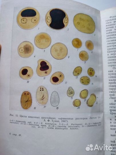 Практическая паразитология под ред.Виноградова