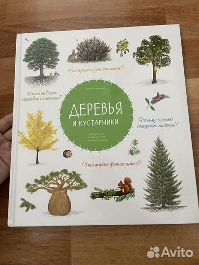 Книга деревья