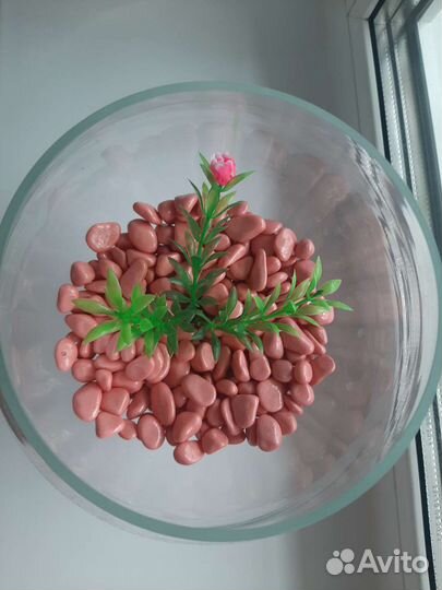 Аквариум 3 л