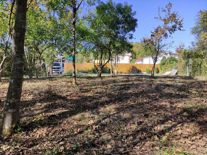 Участок 6 сот. (СНТ, ДНП)