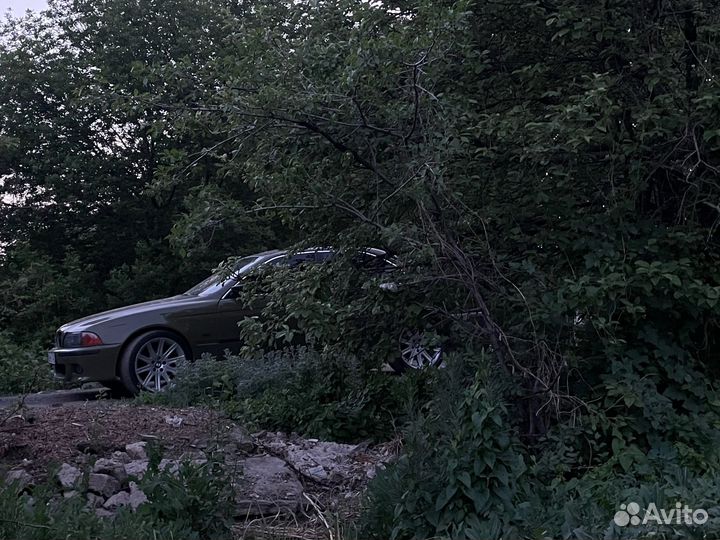 Продам 95 стиль, оригинал