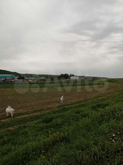 Участок 42 сот. (ИЖС)