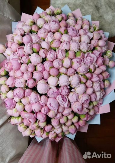 51 пион с доставкой