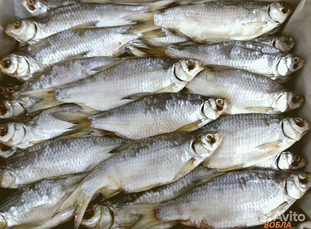 Вяленая рыба